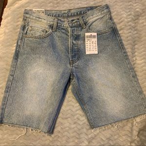Brandy Melville Addison Denim Shorts